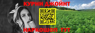 прущие грибы Краснознаменск