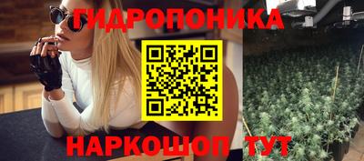 прущие грибы Краснознаменск